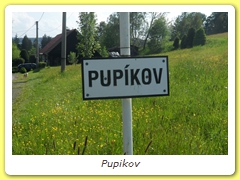 Pupikov